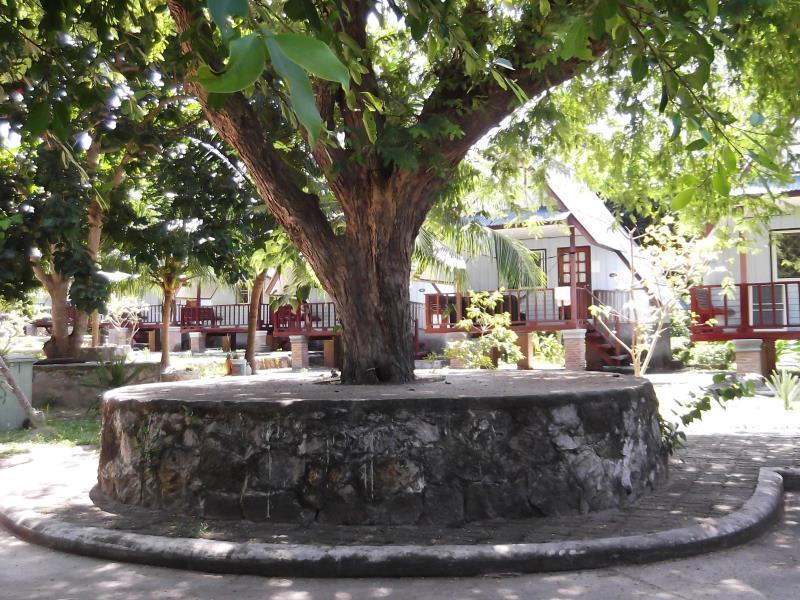 Koh Tao Garden Resort Zewnętrze zdjęcie